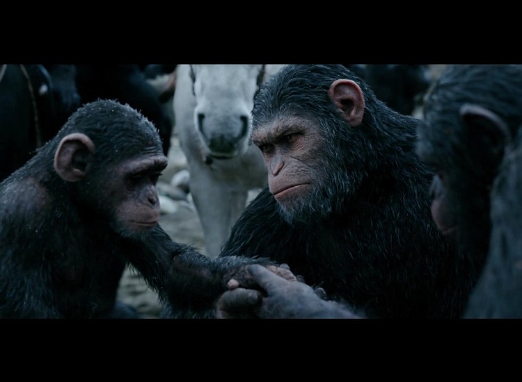 Dawn of the Planet of the Apes Movie Review