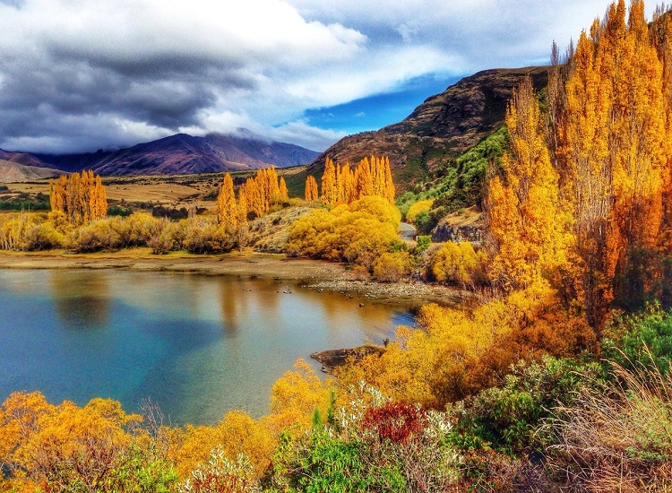 Twizel